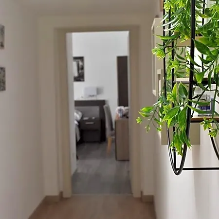 Bed & Breakfast Vicomare